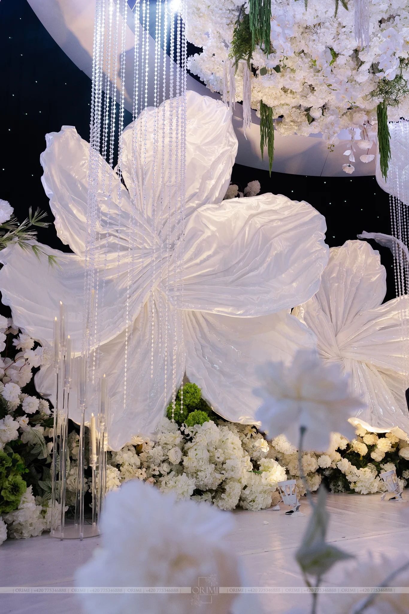 Hoàng Huy - Thảo nguyên · Photo 3